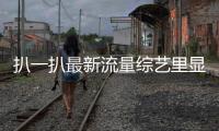 扒一扒最新流量综艺里显现的Vetements明星同款私服有哪些